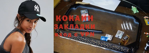соль ск Алексин